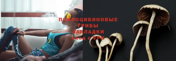 амфетамин Белокуриха