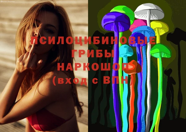 трава Беломорск