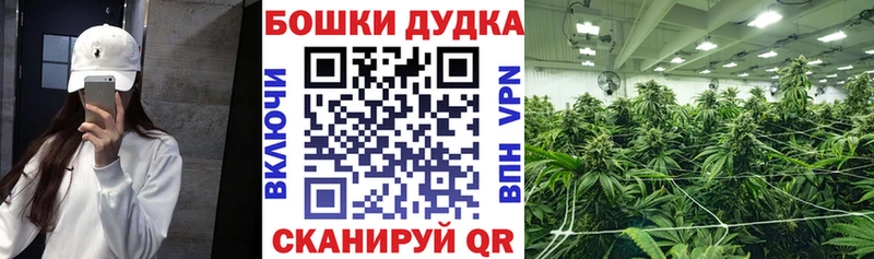 как найти   Ачхой-Мартан  Бошки Шишки планчик 